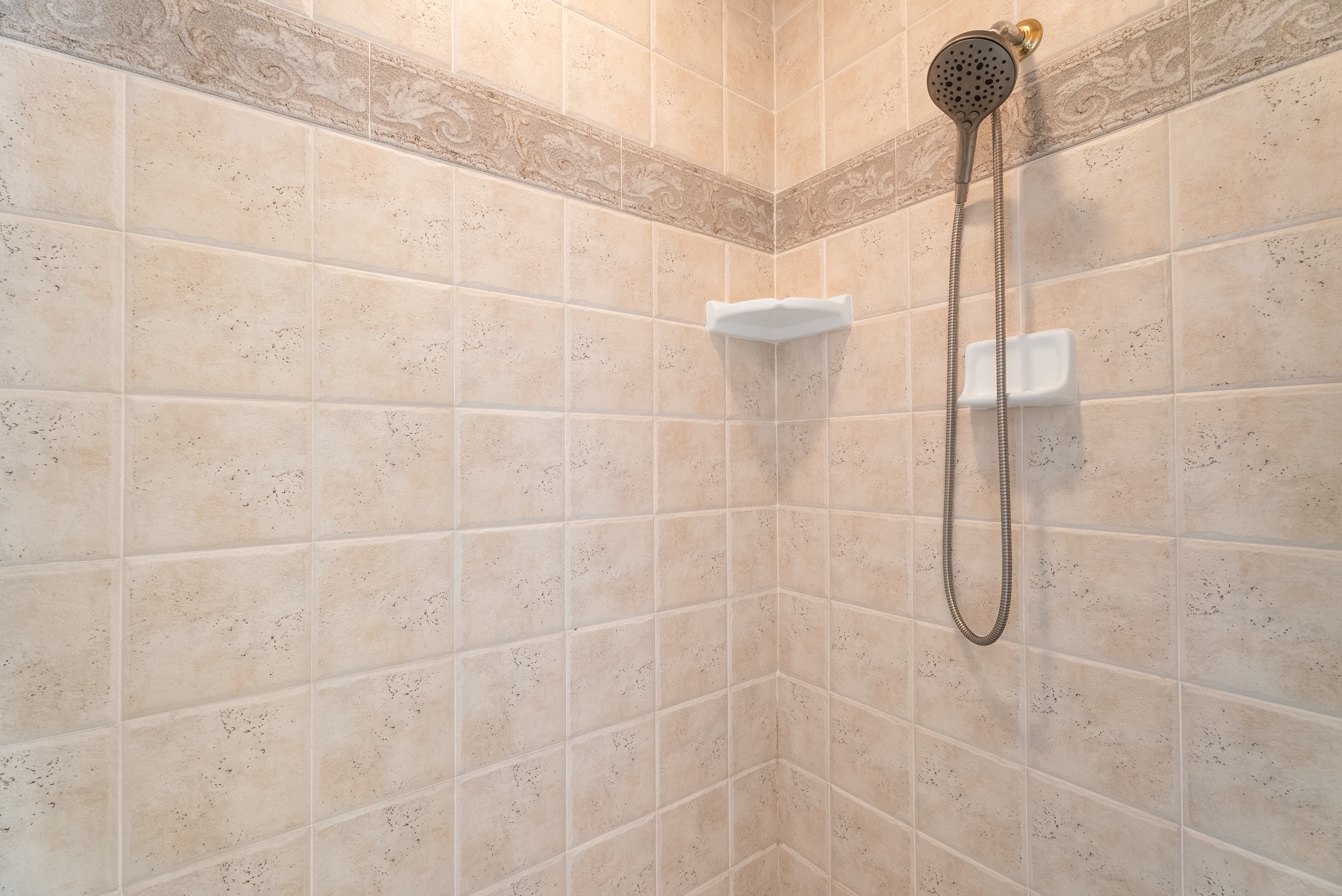 Spacious walk-in shower in master bathroom
